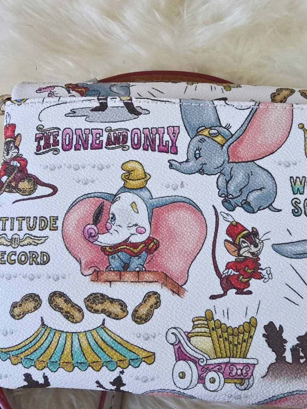 Dooney & Bourke adorable dooney